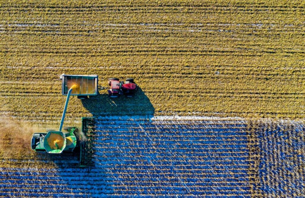 Landwirtschaft